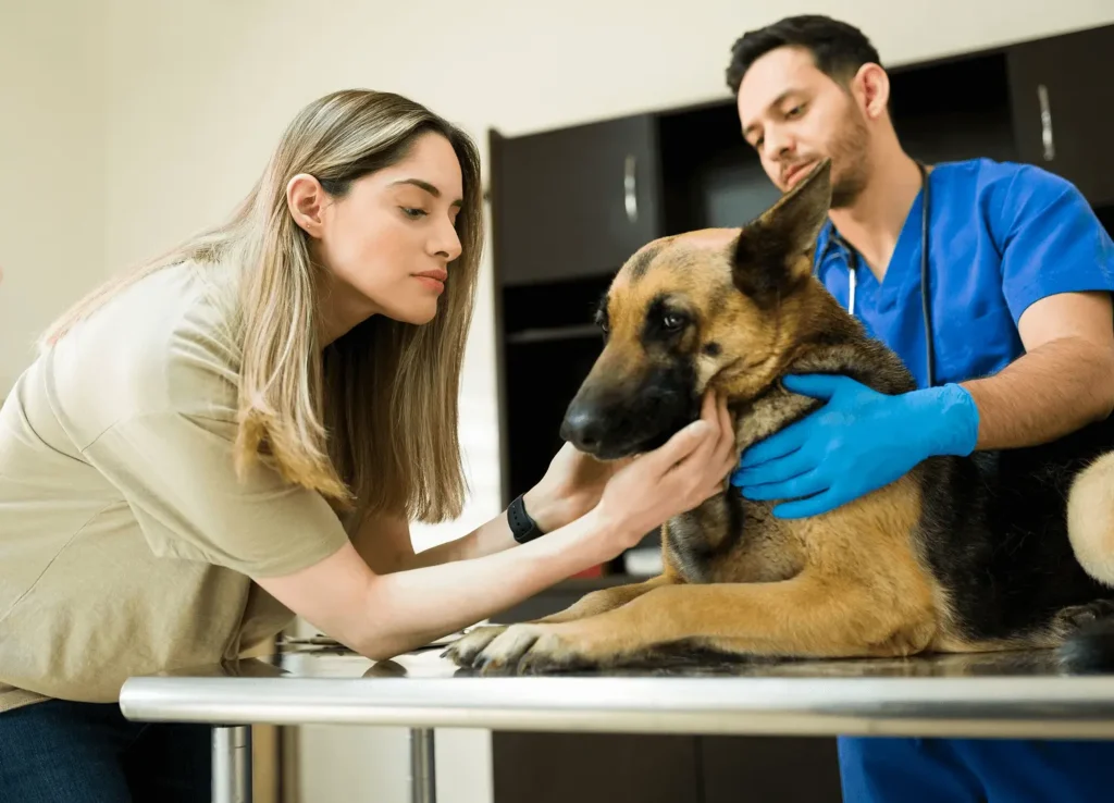 The best care takers of any ofpets best care takers.
